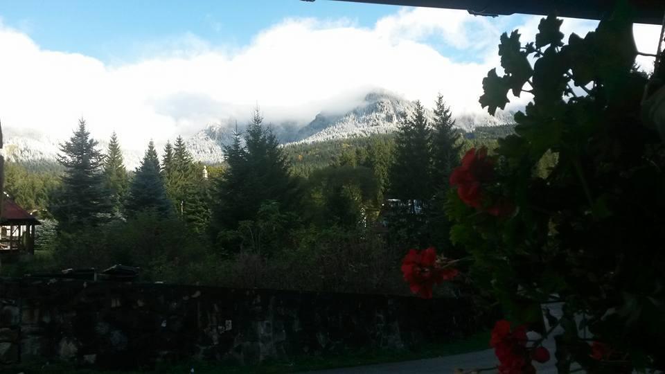 Taverna Ceahlau Durau Dış mekan fotoğraf